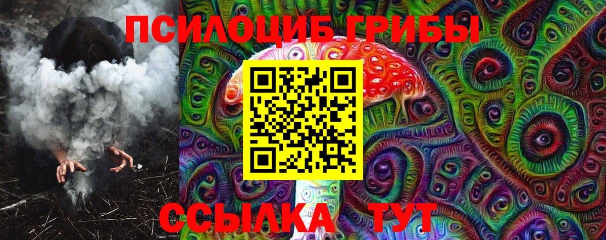 Псилоцибиновые грибы Psilocybe  Вход с VPN  Псилоцибиновые грибы ЛСД  Георгиевск 
