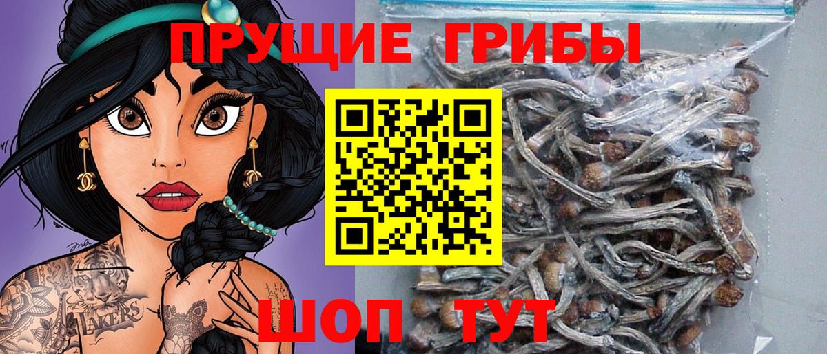 Галлюциногенные грибы MAGIC MUSHROOMS Георгиевск